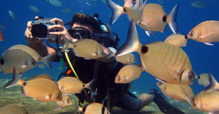 Fethiye: Ölüdeniz Scuba Diving Tour - Key Points