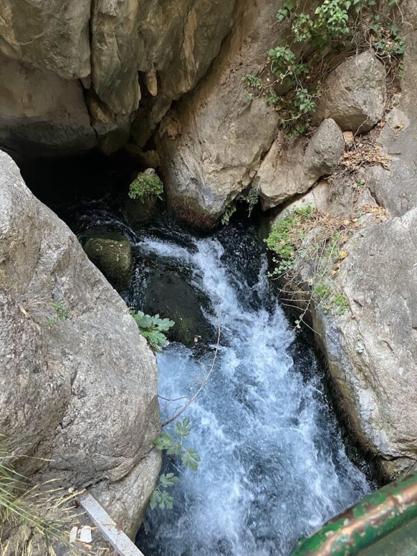 Fethiye Saklikent National Park Full-Day Adventure Tour - Should you book the Saklikent day trip?