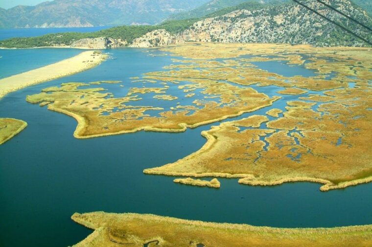 Fethiye:Dalyan Mud & Turtle Beach and River Cruise Day Trip - Final Thoughts: Is This Tour Worth It?
