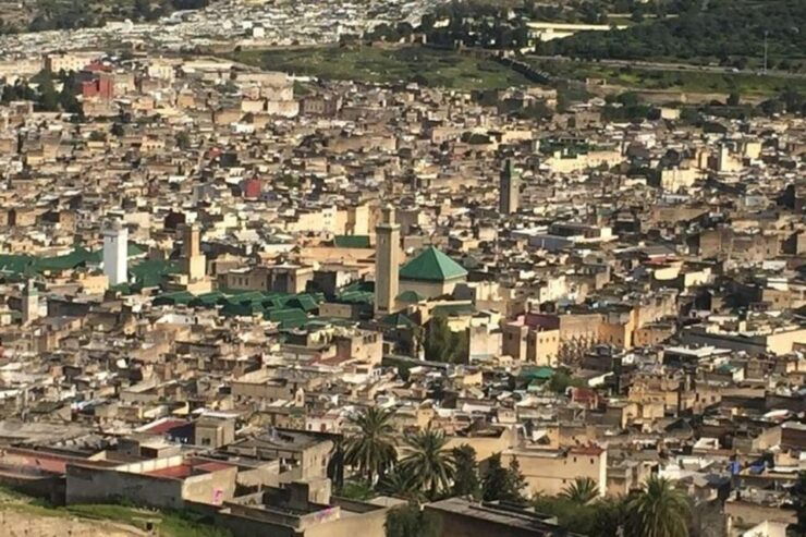 Fez: Guided Tour In Fez City (Private) - Tour Experience and Highlights