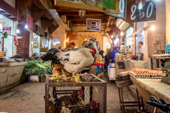 Fez Medina in One Day Guided Sightseeing Tour - Additional Info