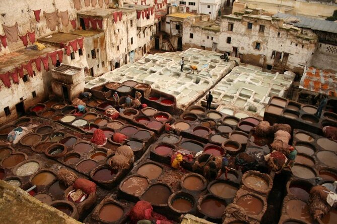 Fez Medina Walking Tours Half Days - Best Time to Explore Fez Medina on Foot