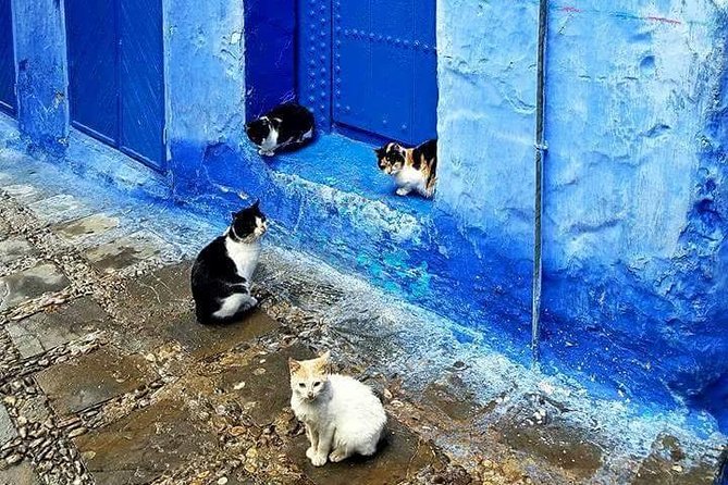 Fez to Chefchaouen Day Trip - Refund Policy