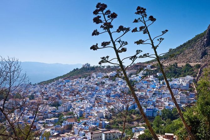Fez to Chefchaouen Day Trip - Sightseeing Opportunities