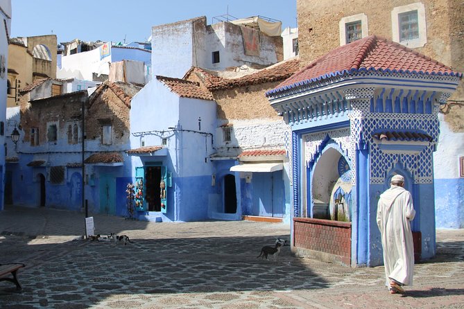 Fez to Chefchaouen Day Trip - Frequently Asked Questions