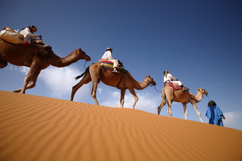 Fez to Marrakech Private 3-Day Desert Tour - From Fez’s cedar country to the Sahara