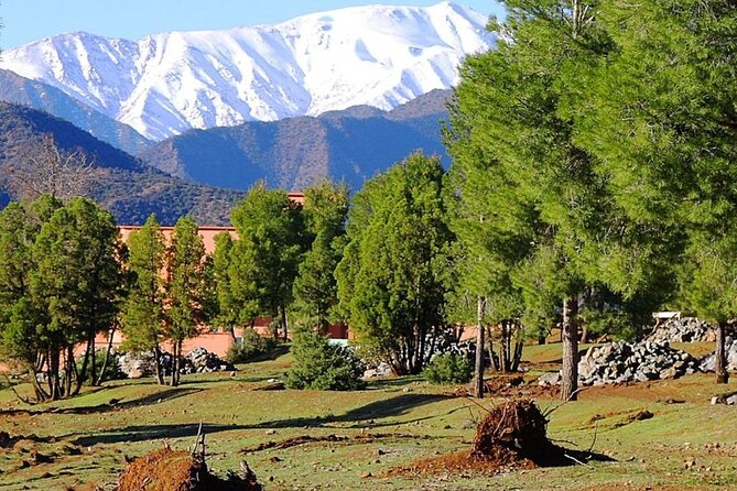 Fez to Middle Atlas Mountains: Private Full Day Tour - Pricing Information