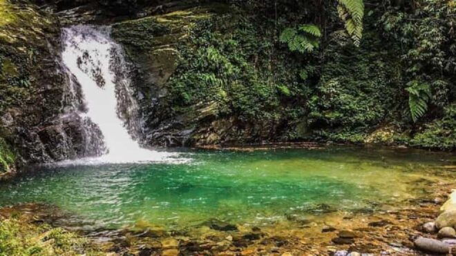 FFOM HUE : TOUR TREKKING HUE - BACH MA NATIONAL PARK DAILY - Daily Itinerary Highlights