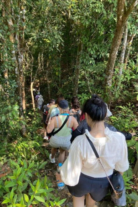 FFOM HUE : TOUR TREKKING HUE - BACH MA NATIONAL PARK DAILY - Included Amenities and Services