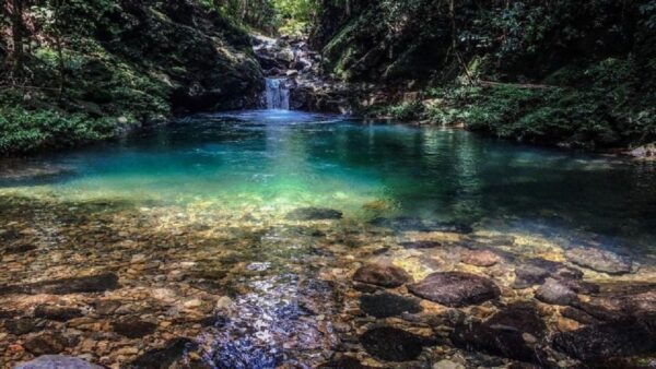 FFOM HUE : TOUR TREKKING HUE - BACH MA NATIONAL PARK DAILY - Special Requests and Options