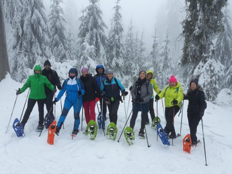 Fichtelgebirge: Snowshoe Hike - Activity Details