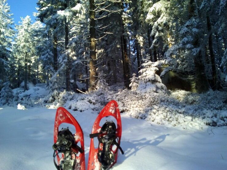 Fichtelgebirge: Snowshoe Hike - Experience