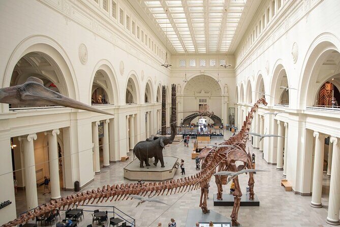 Field Museum Basic Admission Ticket Plus VR Experience - Good To Know