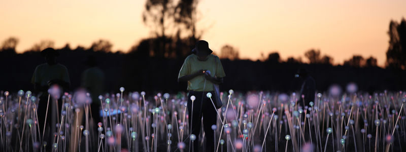 Field of Light Sunrise Tour - The Field of Light before dawn
