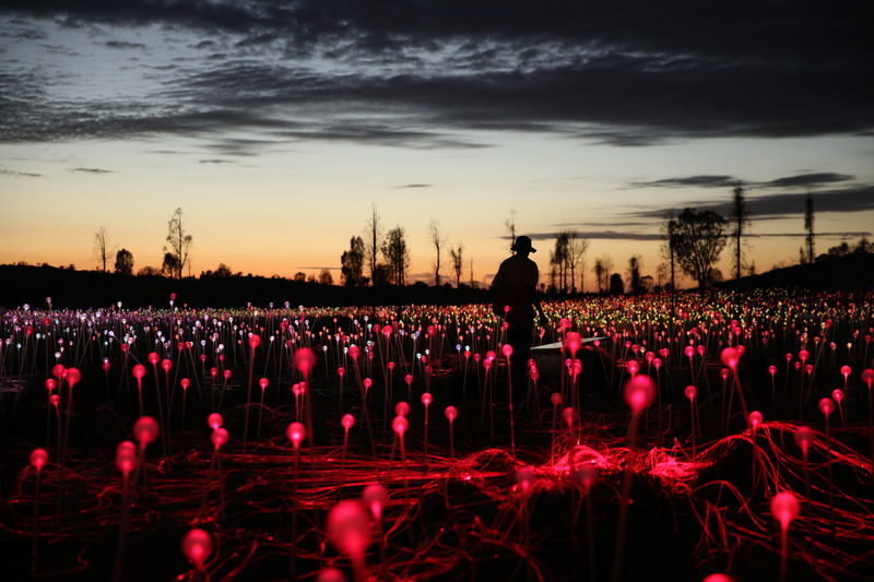 Field of Light Sunrise Tour - Walking the glowing paths