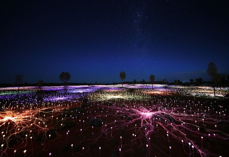 Field of Light Sunrise Tour - Who will enjoy this tour most