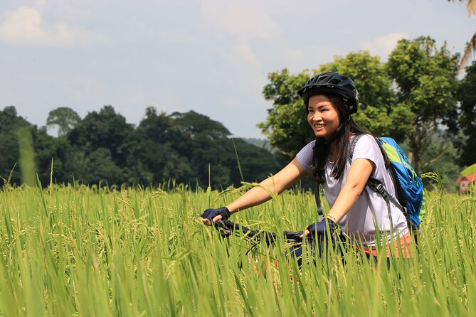 FIELDS OF GOLD Mountain Biking Tour Chiang Mai - Cancellation Policy