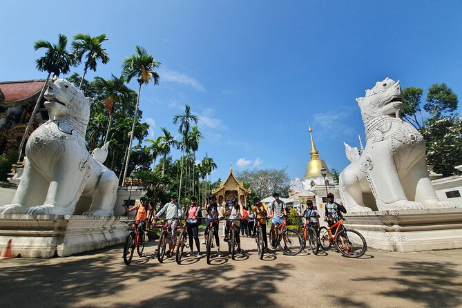 FIELDS OF GOLD Mountain Biking Tour Chiang Mai - Traveler Reviews