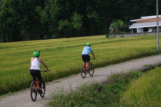 FIELDS OF GOLD Mountain Biking Tour Chiang Mai - Common Questions