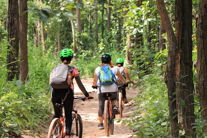 FIELDS OF GOLD Mountain Biking Tour Chiang Mai - The Sum Up