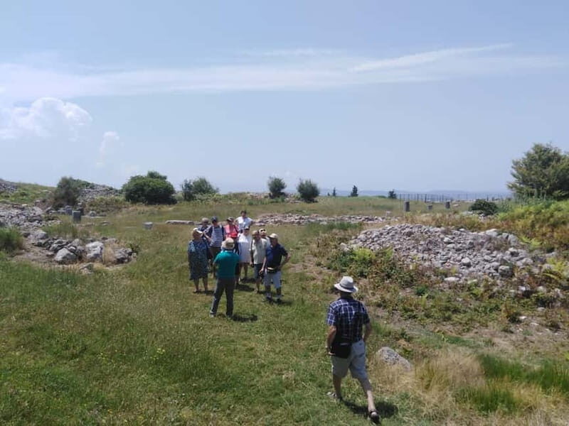 Fier: Byllis Archaeological Park Guided Tour - An Introduction to the Tour
