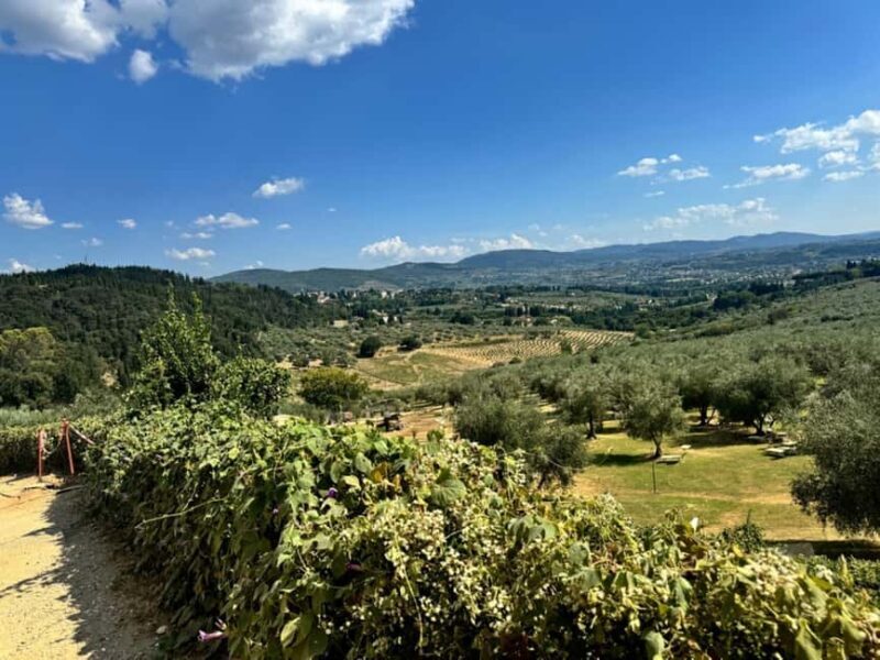 Fiesole E-Bike Tour with Olive Oil Tasting or Pool & Chill - FAQ