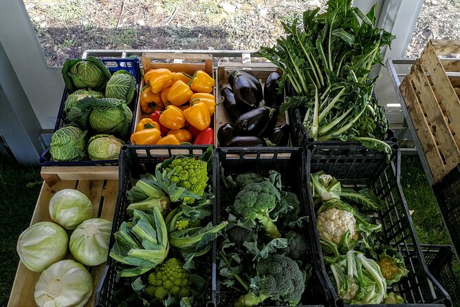 Fiesole: Tuscan Countryside Half Day E-Bike Tour & Farm Visit - Cancellation Policy
