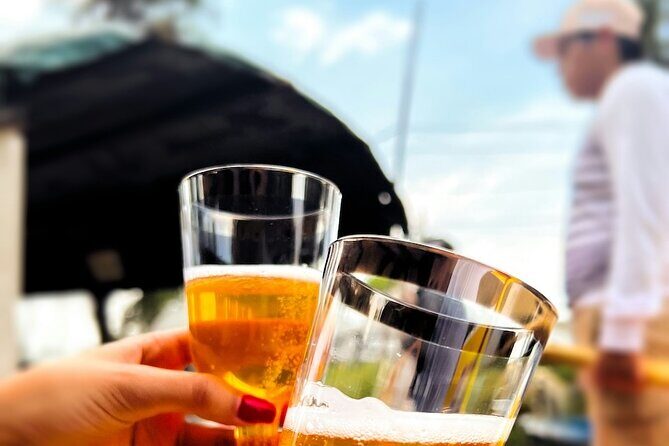 Fiesta on a Trajinera, Tacos, Drinks and Visit Coyoacan - Final Thoughts: Is It Worth It?