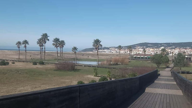 Figueira da Foz: Guided Walking Tour - Who Should Consider This Tour?