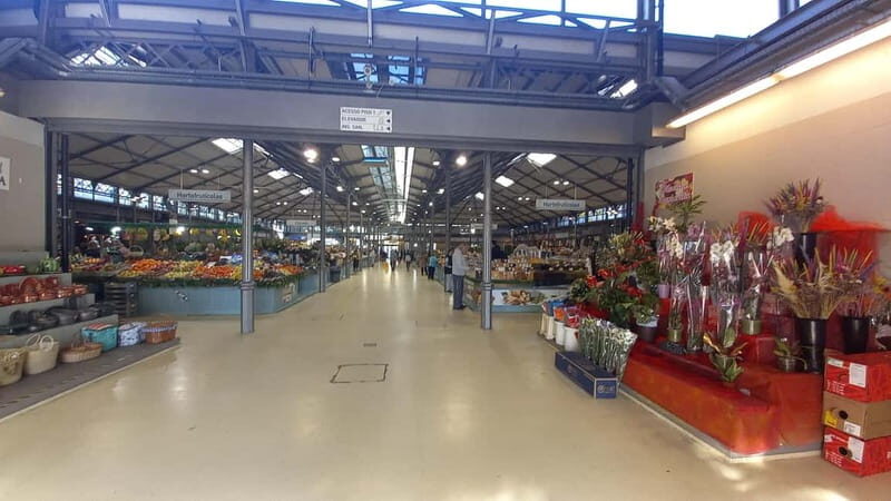 Figueira da Foz: Guided Walking Tour - Final Thoughts