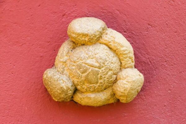 Figueres: Dalí Theater-Museum Guided Tour - Weather Considerations