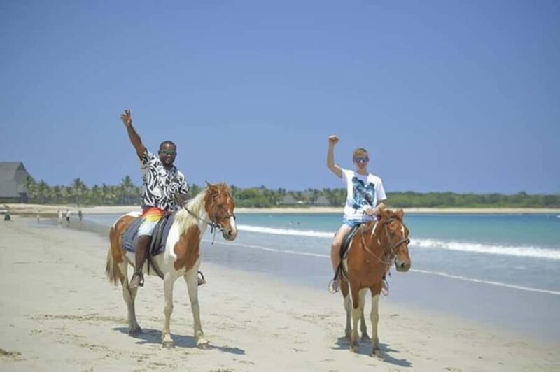 Fiji: Beach Horseback Riding Tour with Lunch and Transfer - Authentic Experiences and Honest Feedback
