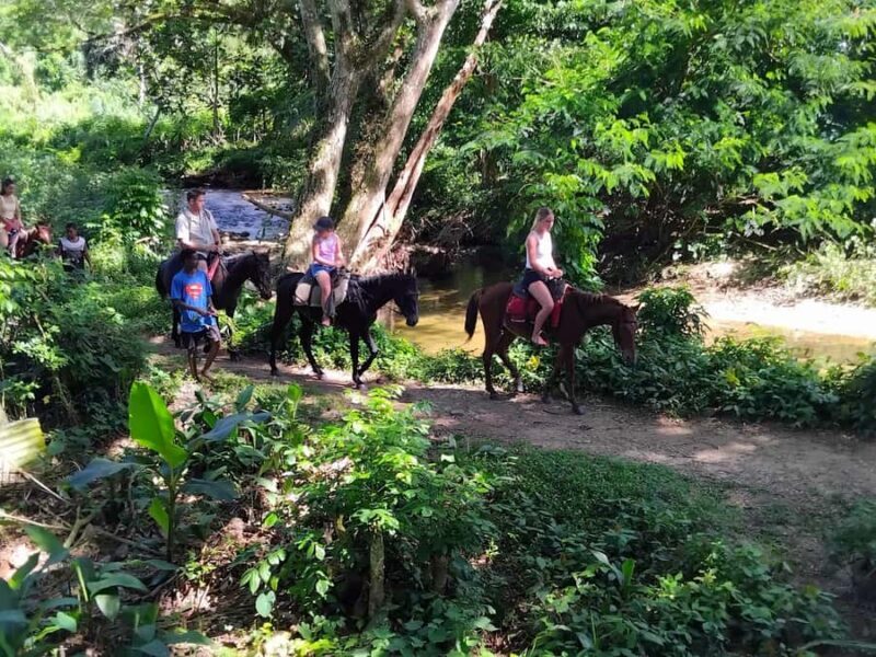 Fiji Biausevu waterfall & Village Tour - What to Expect from the Fiji Biausevu Waterfall & Village Tour