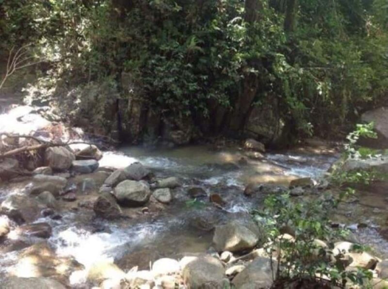 Fiji Biausevu waterfall & Village Tour - Who will love this tour?