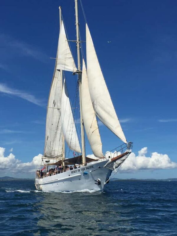 Fiji: Captain Cook Cruises - Island & Reef Day Trip - Setting the Scene: What to Expect