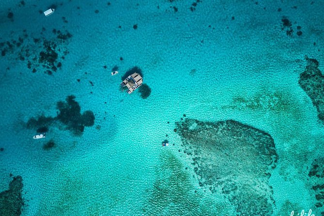 Fiji: Day Trip to Cloud 9 Floating Platform Including Food and Beverages - Pricing and Booking Details