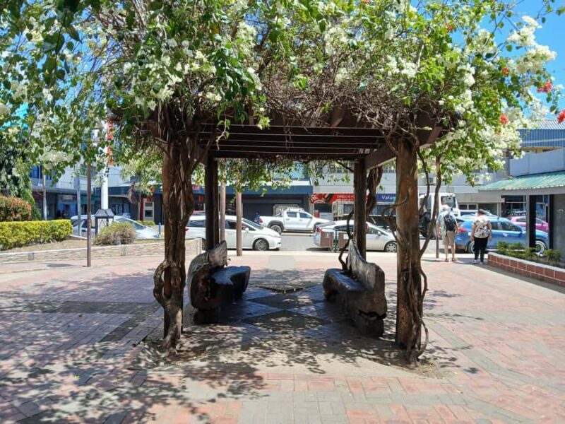 Fiji: Discover Nadi with Sabeto Hotspring and Mudpool Tour - Who Should Consider This Tour?