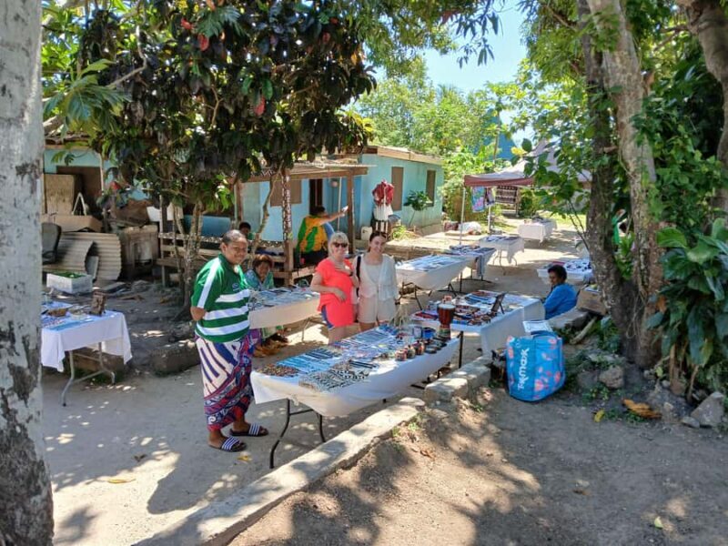 Fiji: Discover Nadi with Sabeto Hotspring and Mudpool Tour - Final Thoughts