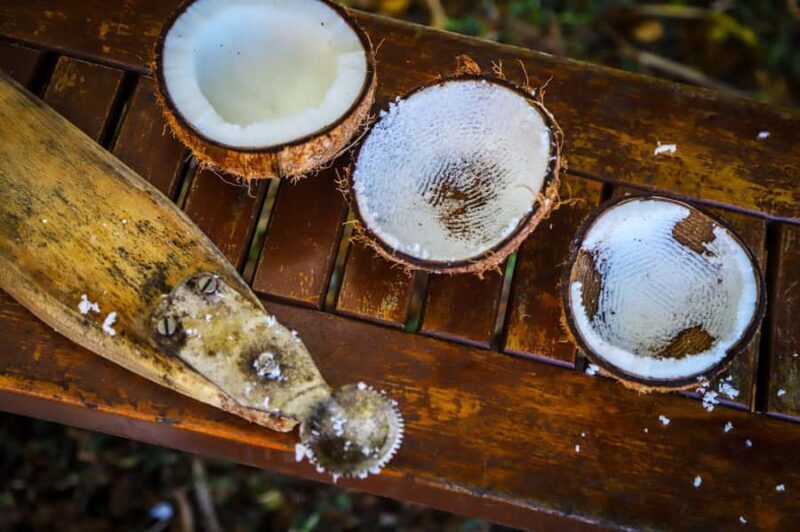 Fiji: Farm Tour: Animals, Honey Tasting & Fijian Cooking - Good To Know