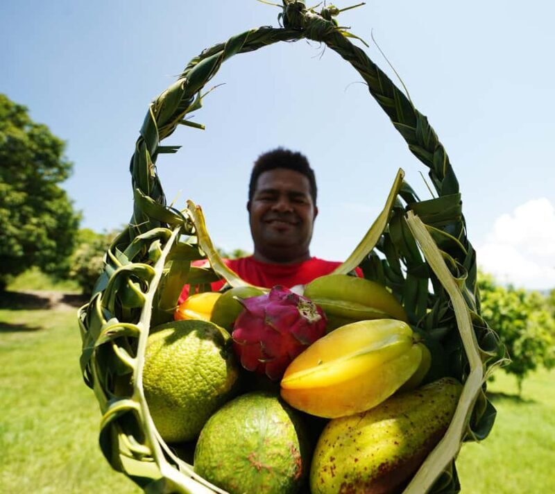 Fiji: Farm Tour: Animals, Honey Tasting & Fijian Cooking - A Practical Look at the Fiji Farm Tour