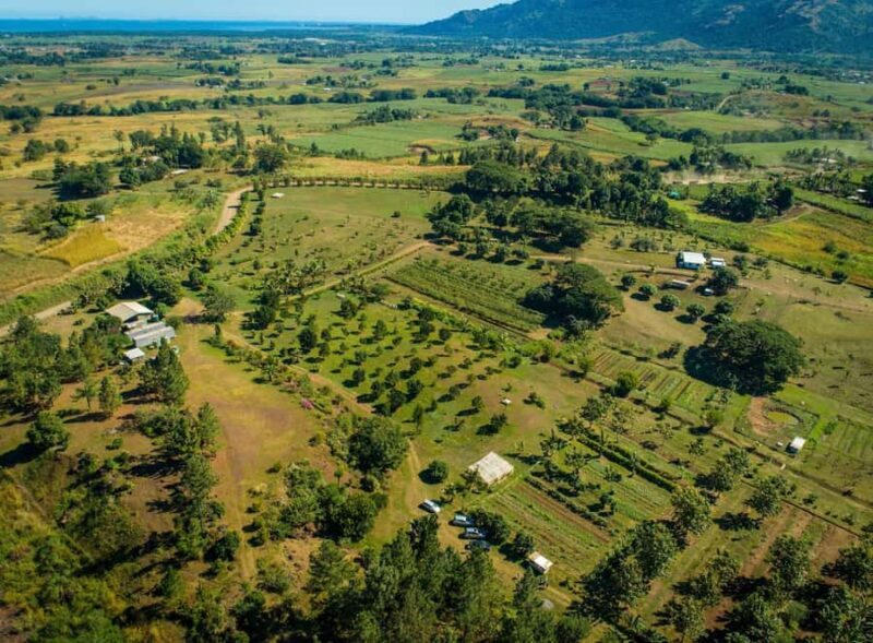 Fiji: Farm Tour: Animals, Honey Tasting & Fijian Cooking - What Makes This Tour Stand Out?