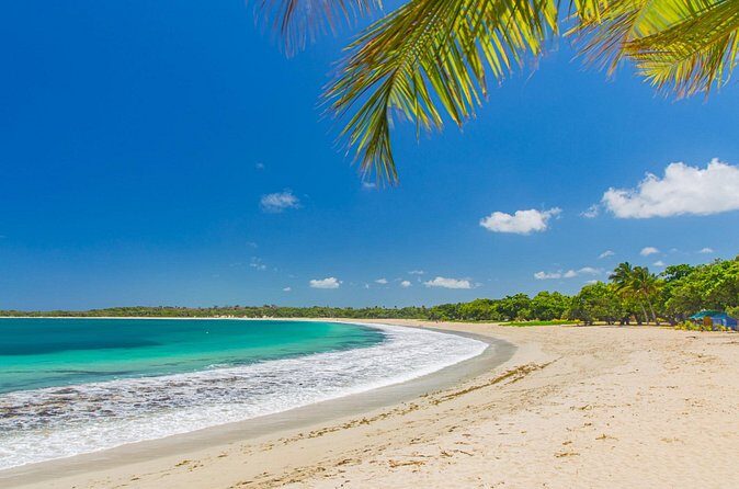 Fiji In Focus 4 Days Mainland Discovery Tour - Transport and Logistics