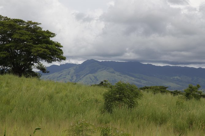 Fiji Local Village, Market, Temple & Garden of Sleeping Giant With Mud Pool Tour - Additional Information and Pricing