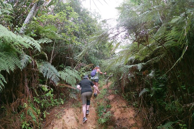 Fiji Private Hiking Tour  - Lautoka - Tour Details