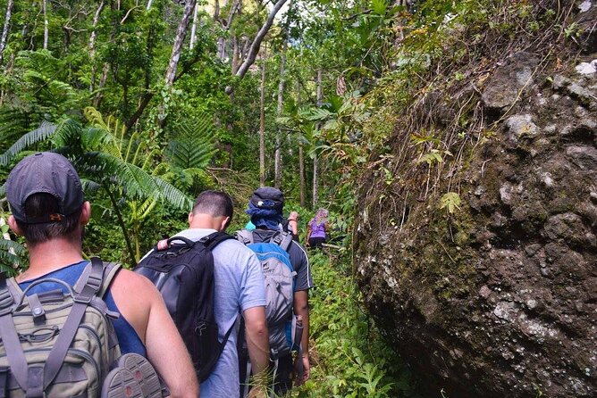 Fiji Private Hiking Tour  - Lautoka - Tips and Recommendations