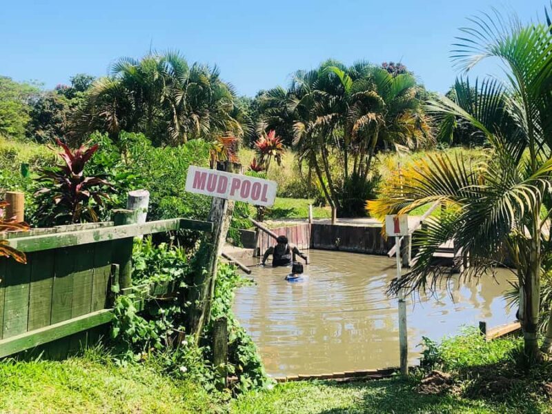 FIJI: Sabeto Hotspring & Mudpool Tours, Tickets & Transfers - Exploring Fiji’s Sabeto Hot Springs & Mud Pool Tour: An Honest Review