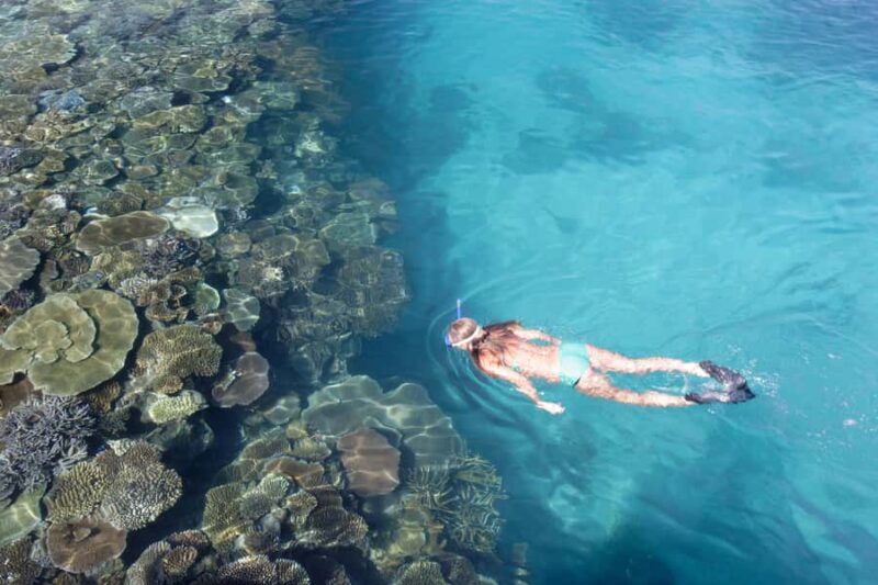 Fiji: South Sea Island Combo Half Day Trip Lunch & Drinks - Exploring Fiji’s South Sea Island Combo: A Practical Retreat