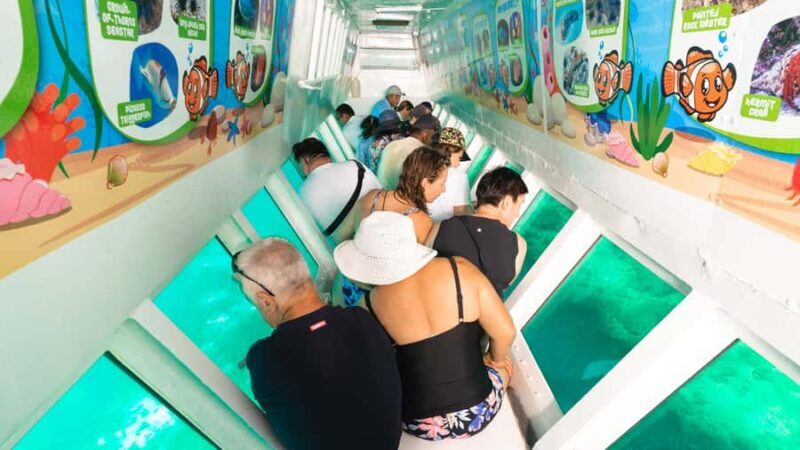 Fiji: South Sea Island Finding Nemo ex Port Denarau - FAQs