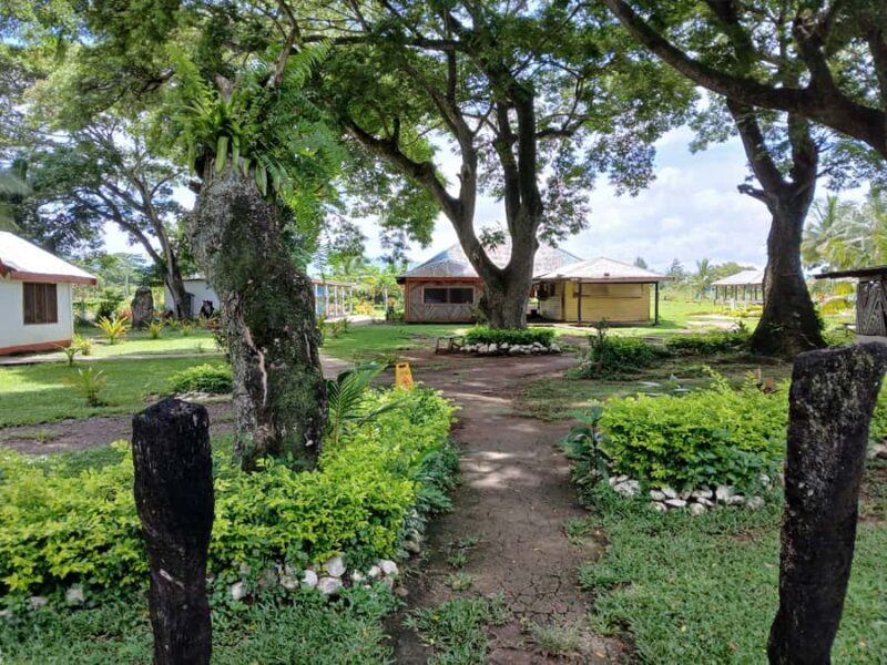 Fiji: Tifajek Mud Pool & Hotspring Tours & Tickets - The Bottom Line