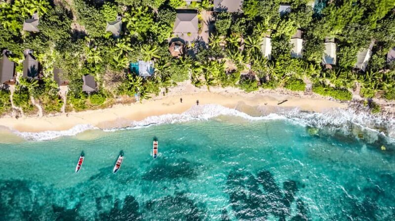 Fiji: Ultimate Encounters Snorkel with Sharks and Lunch - Good To Know